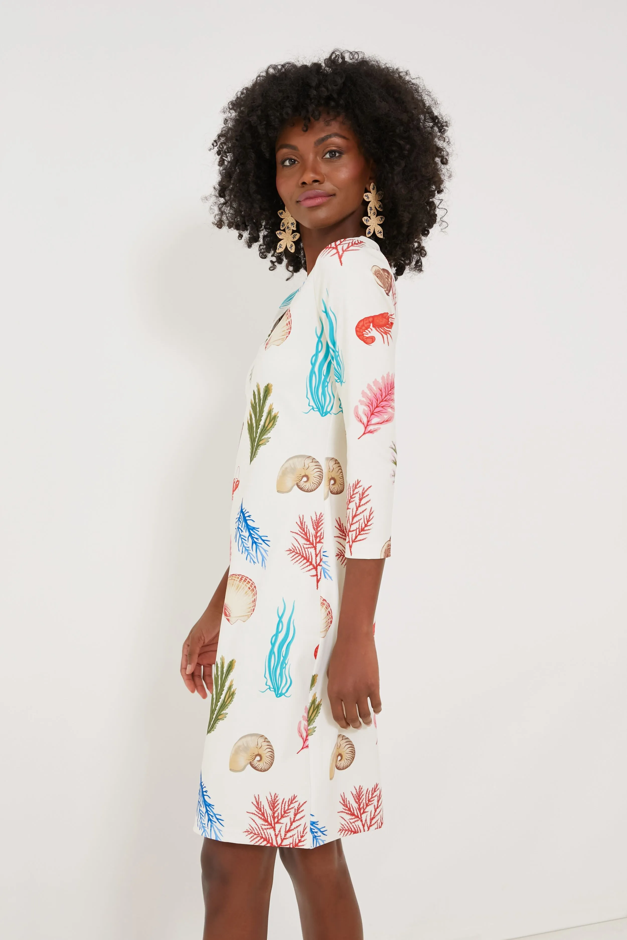 Bahama Botanical Mara Dress