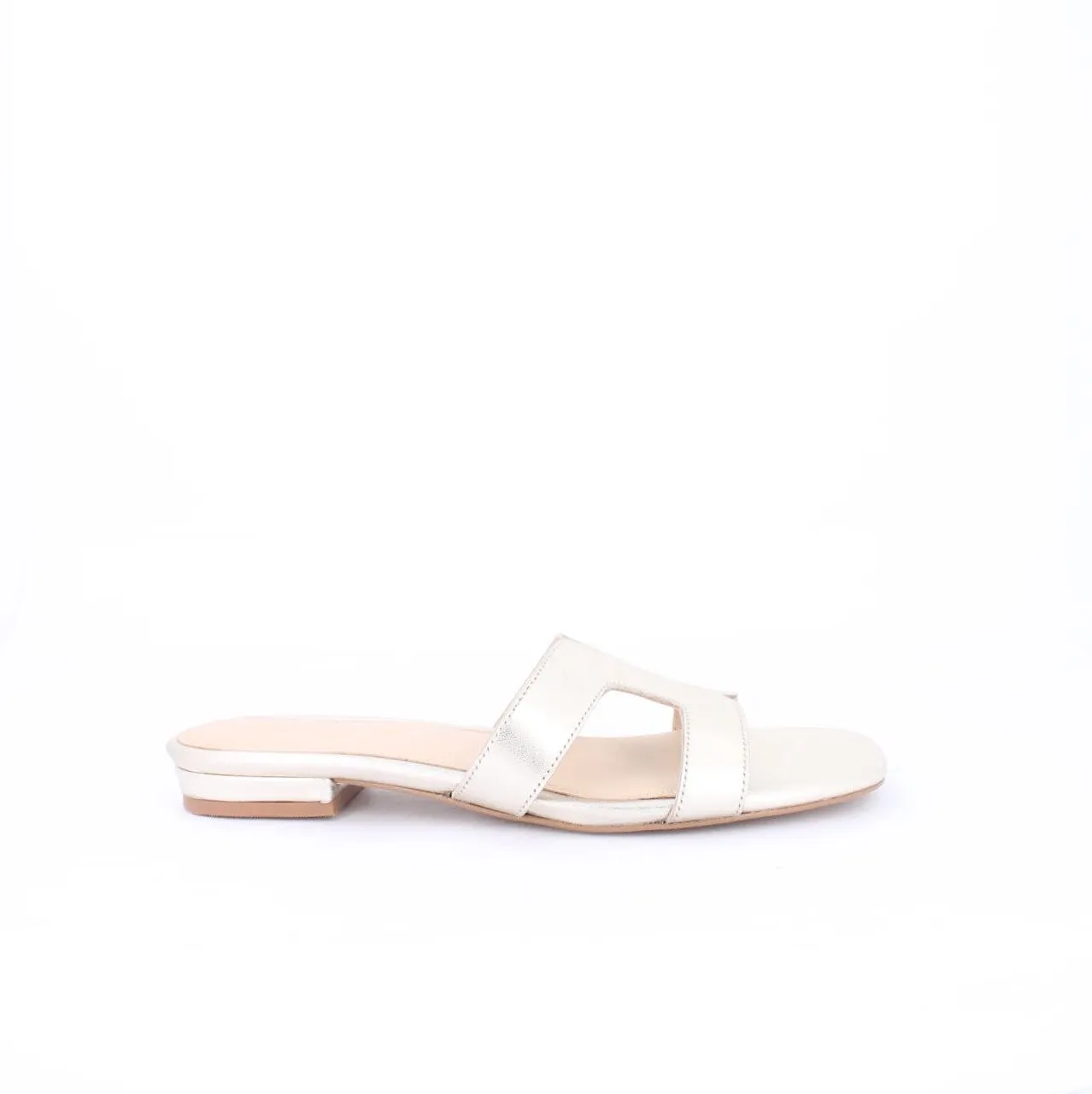 ELAYZA-Slides-flats-GOLD