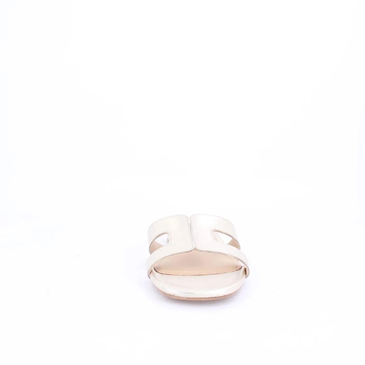 ELAYZA-Slides-flats-GOLD